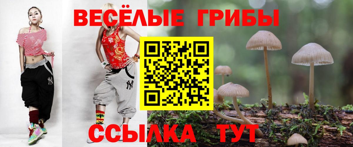 Галлюциногенные грибы мухоморы Кузнецк