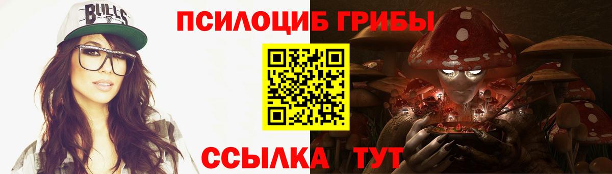 Кузнецк  закладки  Псилоцибиновые грибы MAGIC MUSHROOMS  Вход с VPN  Псилоцибиновые грибы Cubensis 